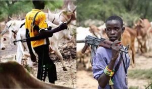 Herdsmen Collaborate With NGOs 
