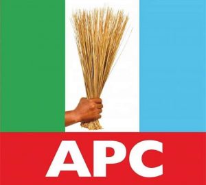 Governorship Primaries