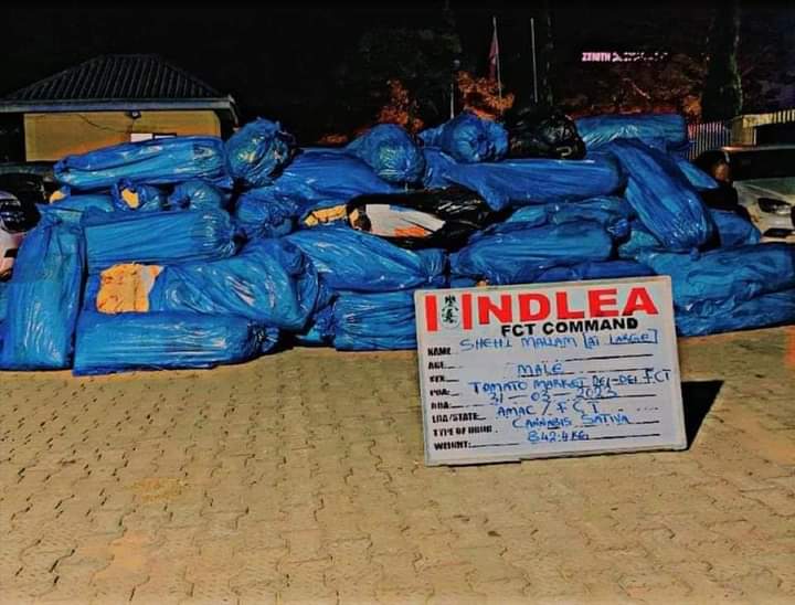 NDLEA Declares Popular