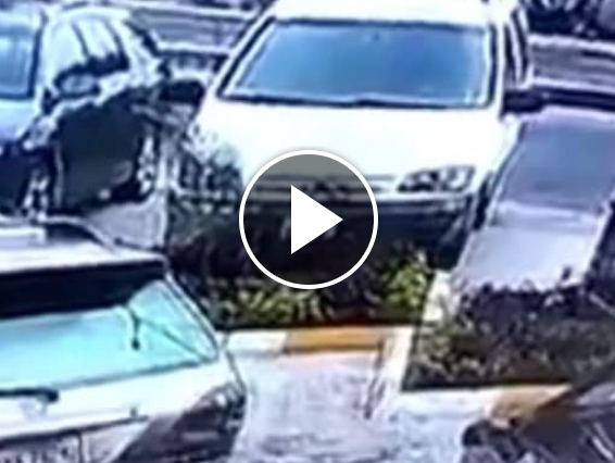 LEAKED VIDEO: PDP Thugs Deploy Guns, Charms To Prevent APC Members From Accessing Electoral Materials At INEC Office