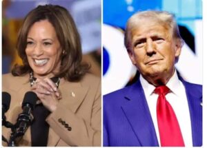 Nigerian-Americans Gives Conditions For Supporting Trump Or Harris -