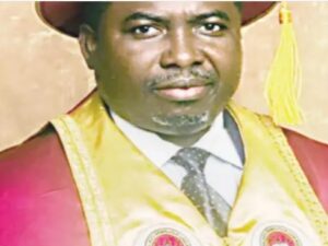INEC Chairman Prof Amupitan
