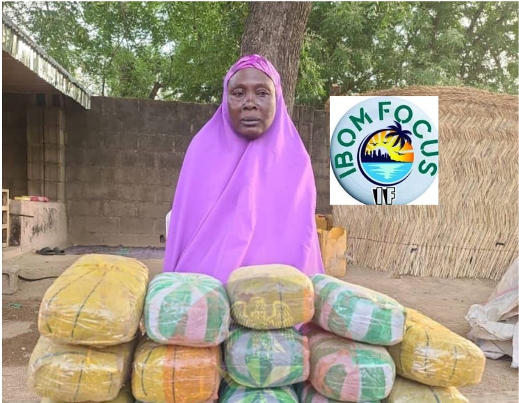 65-Year-Old Suspected Drug Supplier To Terrorists Arrested In Borno