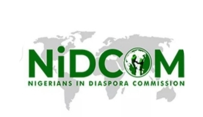 DHII 2026: Nigeria Mobilises Global Diaspora Medical Experts to Strengthen Health System