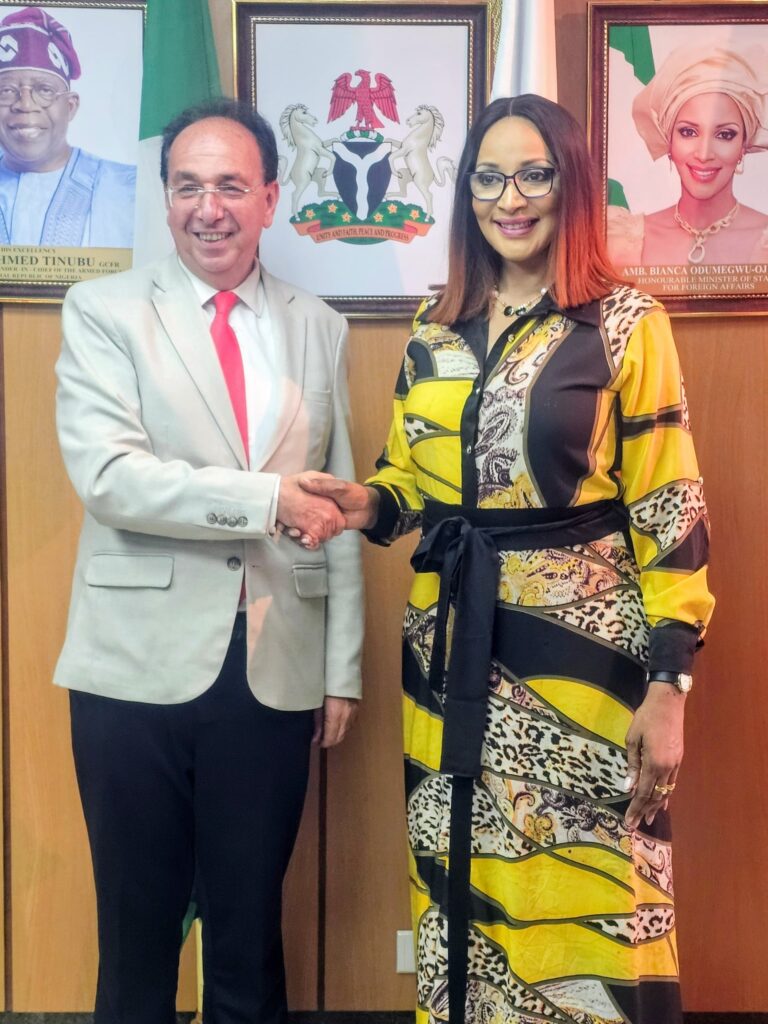 Nigeria Committed To Resolving The Palestine Question