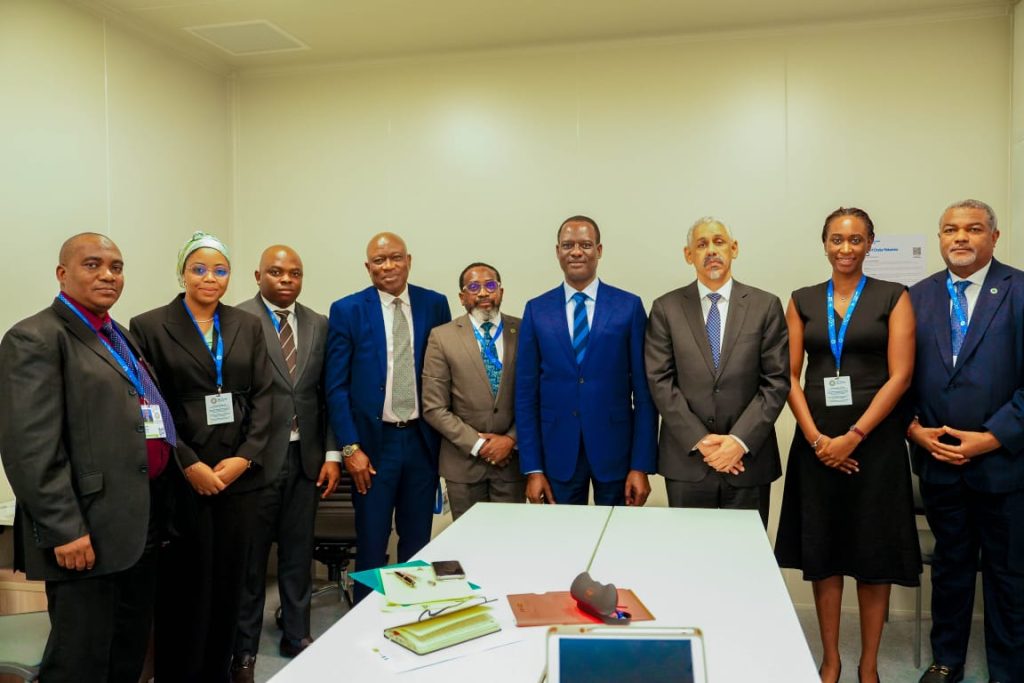 Oyedele, AfDB President Agree on Nigeria Portfolio Review, Official Visit