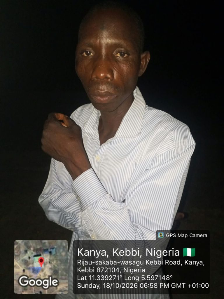 Troops Rescue Kidnap Victim, Recover 18 Rustled Cattle, Arrest Four Drug Suspects in Kebbi